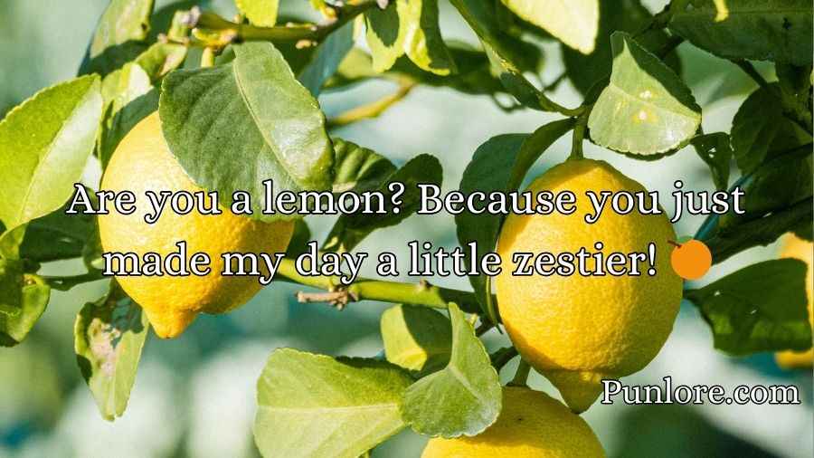 Lemon Pick Up Lines 