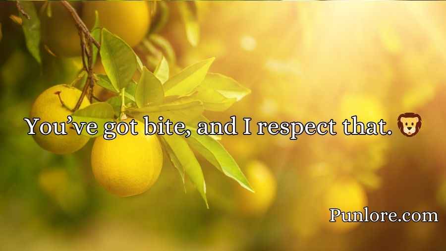 Lemon Pick Up Lines