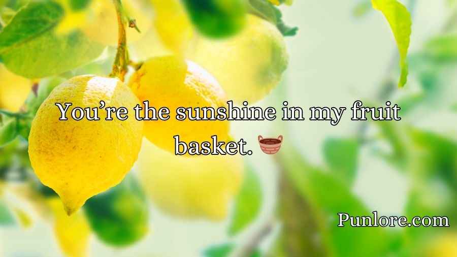 Lemon Pick Up Lines