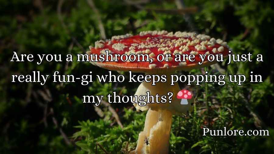 Mushroom Pick-Up Lines