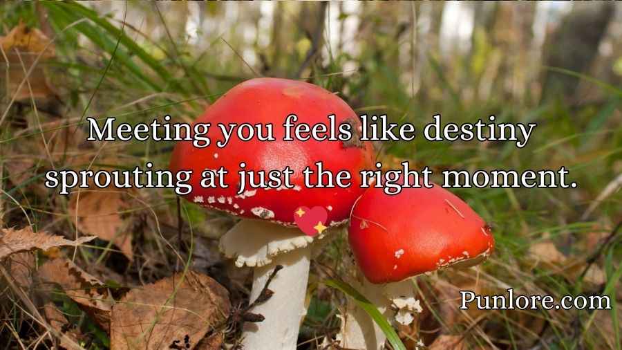 Mushroom Pick-Up Lines