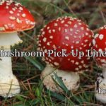 Mushroom Pick-Up Lines
