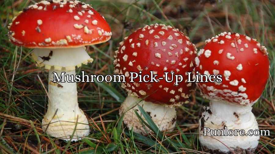 Mushroom Pick-Up Lines