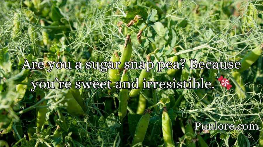 Pea Pickup Lines