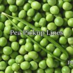 Pea Pickup Lines