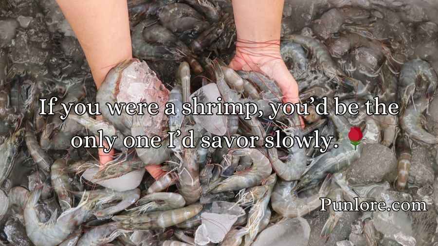 Shrimp Pickup Lines