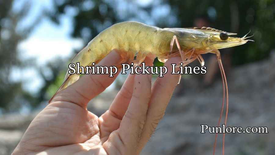 Shrimp Pickup Lines