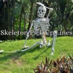 Skeleton Pick Up Lines