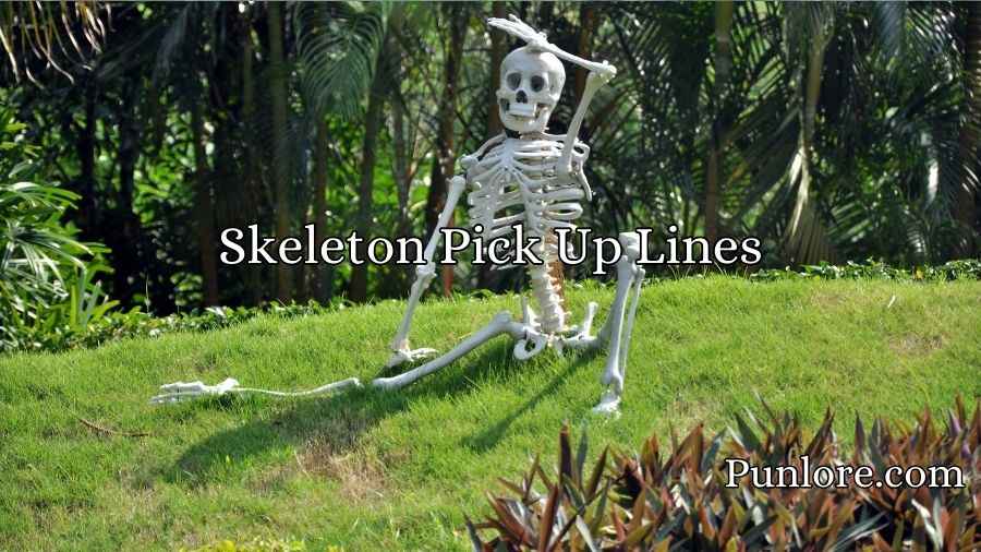 Skeleton Pick Up Lines