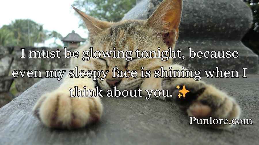 Sleep Rizz Pick Up Lines