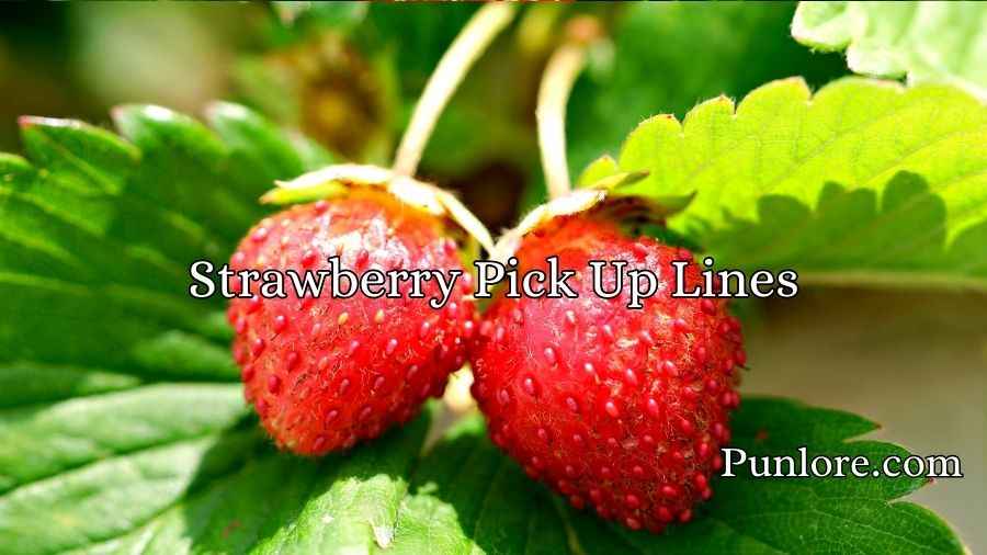 Strawberry Pick Up Lines