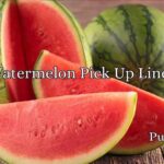 I know flirting can feel awkward sometimes, especially when you’re trying to say something fun without sounding cheesy. That’s exactly why Watermelon Pick Up Lines are such a refreshing way to break the ice. They’re playful, sweet, and packed with summer vibes that instantly make conversations lighter and more memorable. Watermelon Pick Up Lines