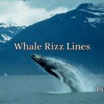 Whale Rizz Lines