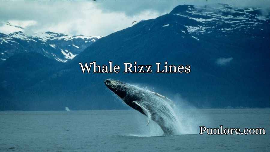 Whale Rizz Lines