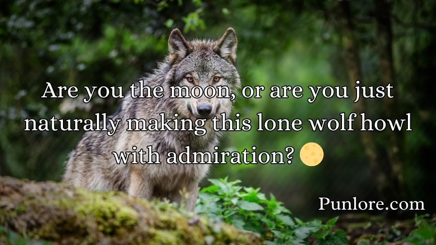 Wolf Pick Up Lines