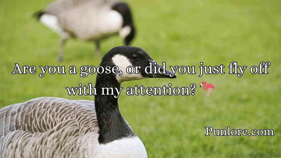 Goose Pickup Lines