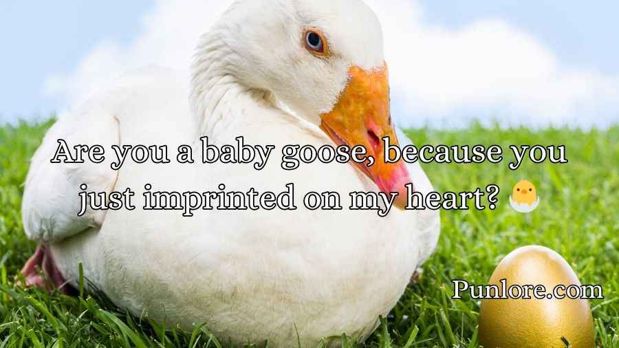 Goose Pickup Lines
