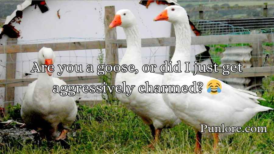 Goose Pickup Lines