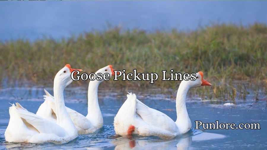 Goose Pickup Lines