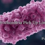 Mitochondria Pick Up Lines
