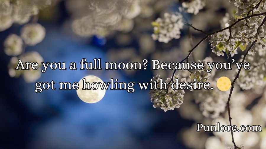 Moon Pick Up Lines
