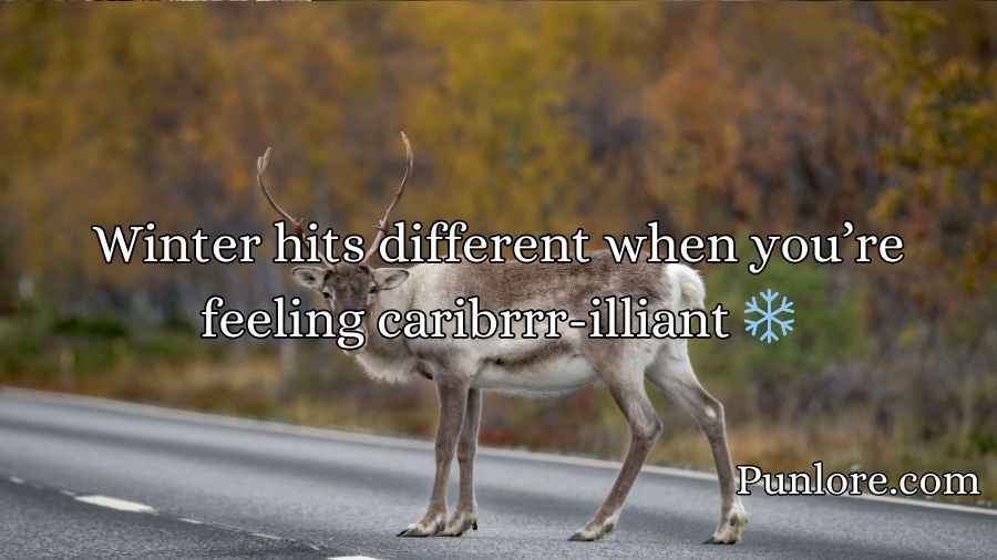 Caribou Puns