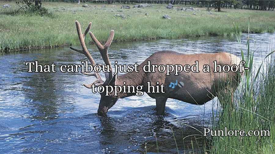 Caribou Puns