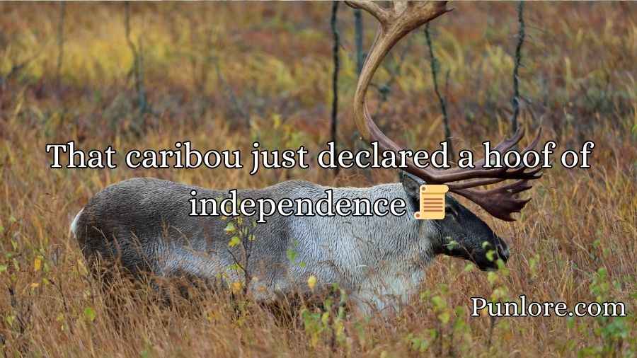 Caribou Puns
