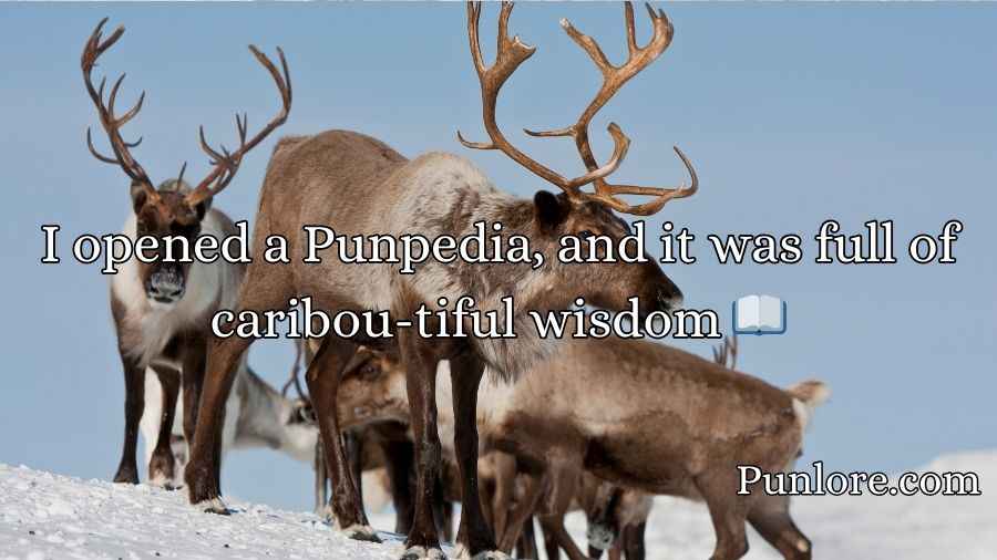 Caribou Puns