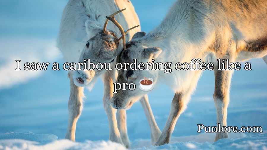 Caribou Puns