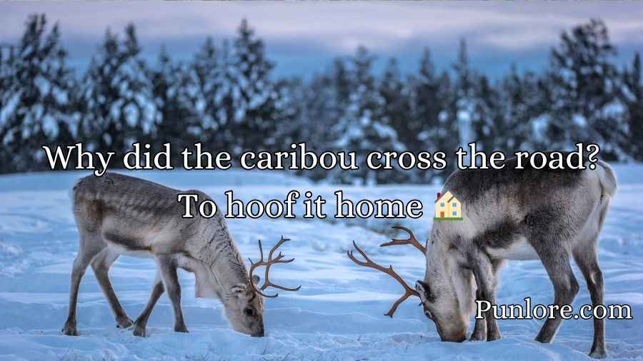 Caribou Puns