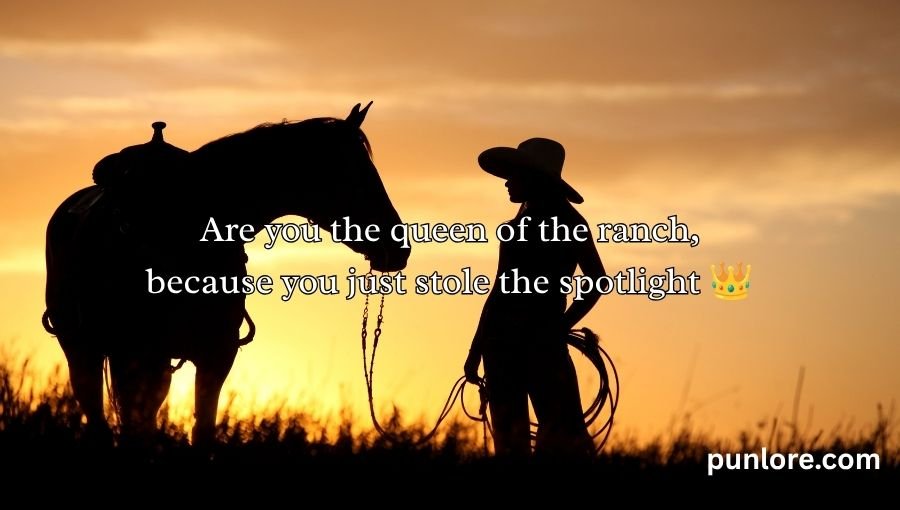 Cowgirl Pickup Line