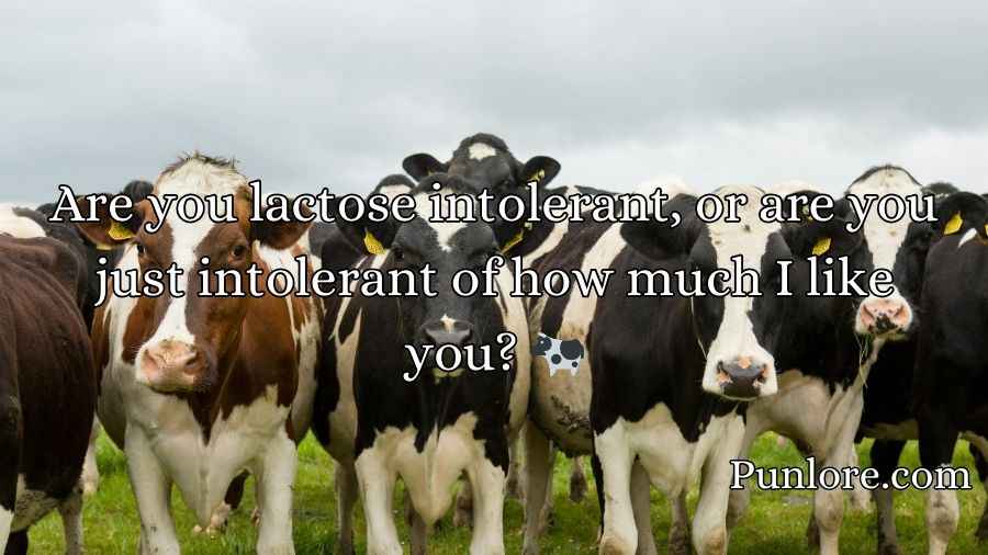 Dairy Pick Up Lines