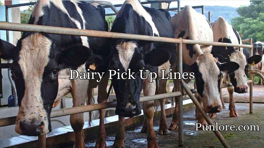 Dairy Pick Up Lines