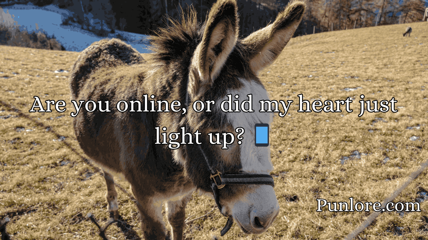 Donkey Pick Up Lines