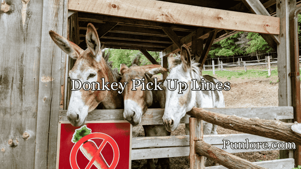 Donkey Pick Up Lines