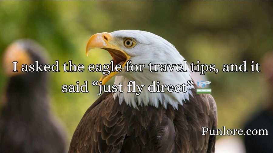 Eagle puns