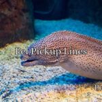 Eel Pickup Lines