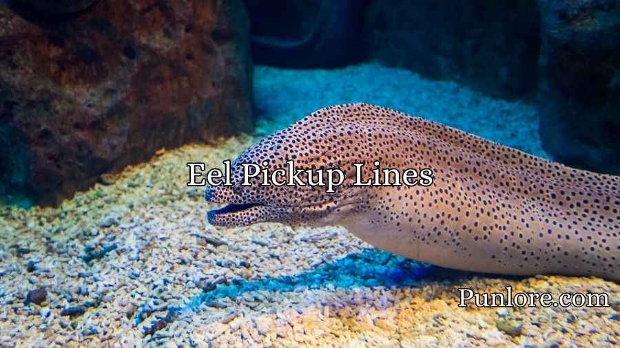 Eel Pickup Lines