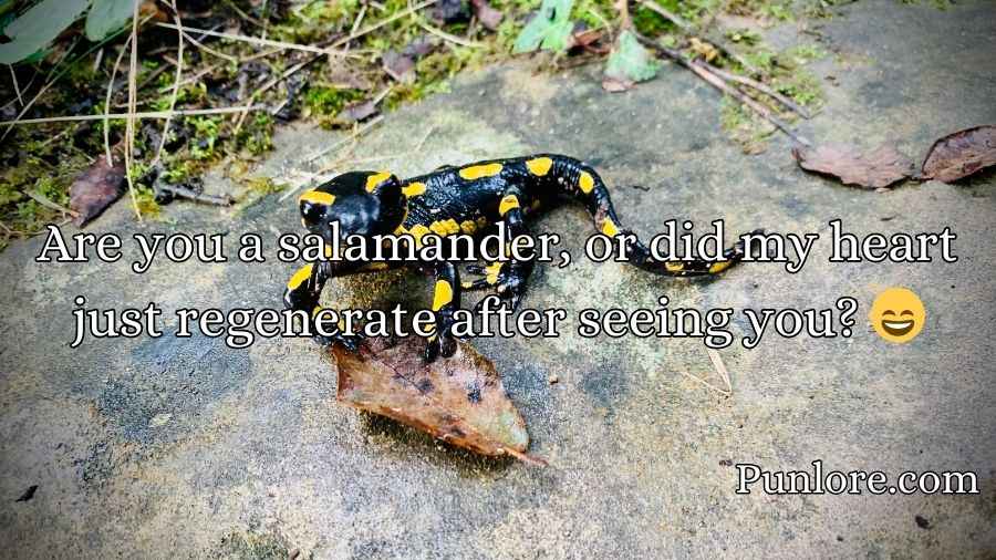 Salamander Pickup Lines