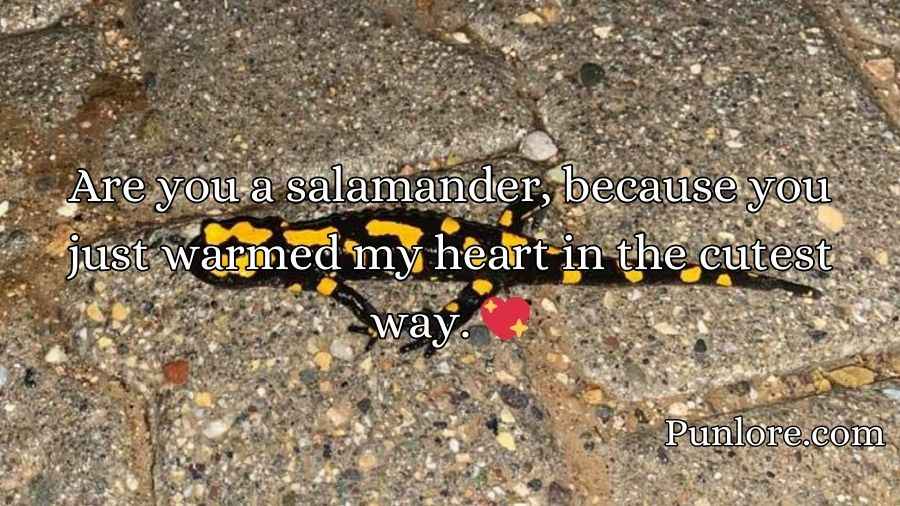 Salamander Pickup Lines