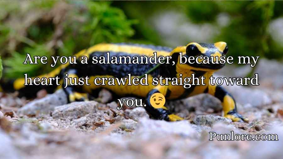 Salamander Pickup Lines
