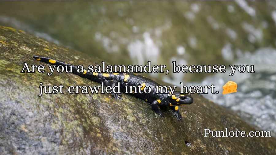 Salamander Pickup Lines