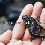 Salamander Pickup Lines
