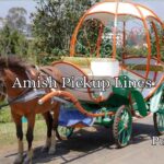 Amish Pickup Lines