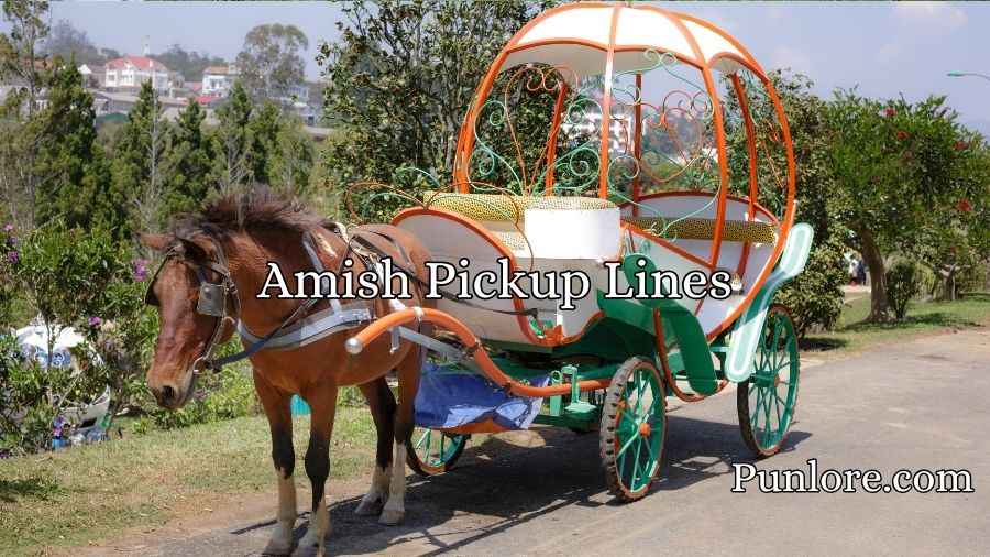 Amish Pickup Lines