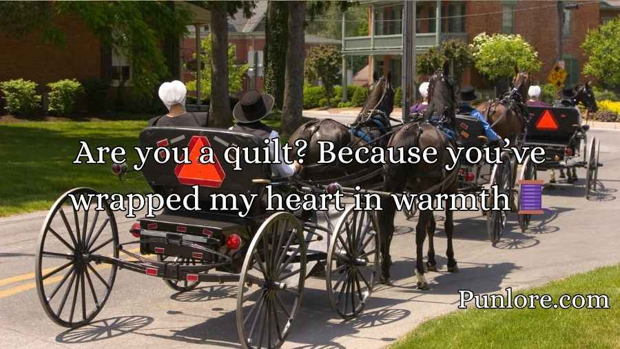 Amish Pickup Lines