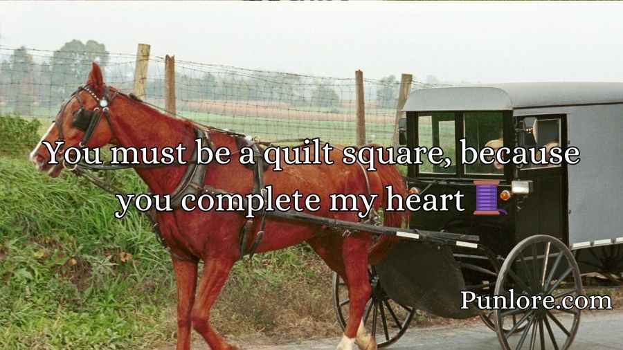 Amish Pickup Lines