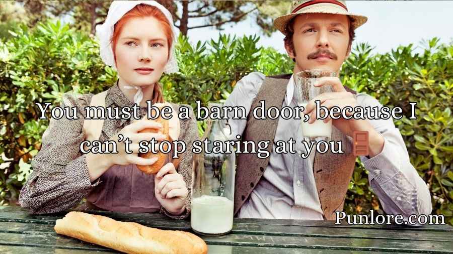 Amish Pickup Lines