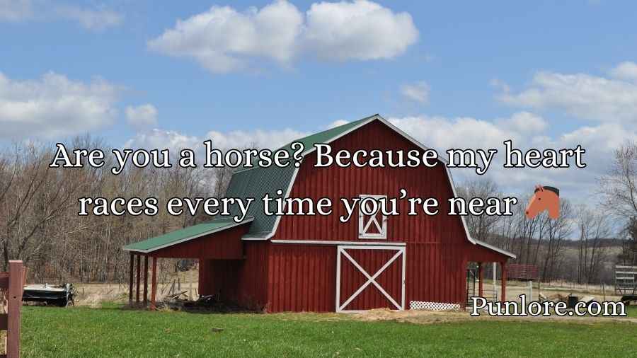 Amish Pickup Lines